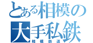 とある相模の大手私鉄（相模鉄道）