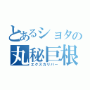 とあるショタの丸秘巨根（エクスカリバー）