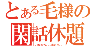 とある毛様の閑話休題（。。ゆった～り。。。また～り。。）