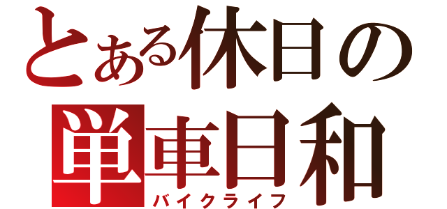 とある休日の単車日和（バイクライフ）