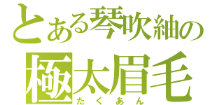 とある琴吹紬の極太眉毛（たくあん）