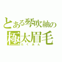 とある琴吹紬の極太眉毛（たくあん）