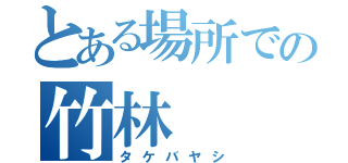 とある場所での竹林（タケバヤシ）