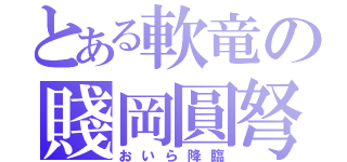 とある軟竜の賤岡圓弩（おいら降臨）