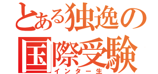 とある独逸の国際受験生（インター生）