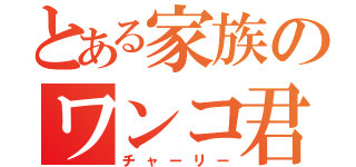 とある家族のワンコ君（チャーリー）