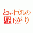 とある巨乳の昼下がり（インデックス）