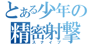 とある少年の精密射撃（スナイプ）