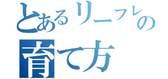 とあるリーフレタスの育て方（）