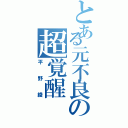 とある元不良の超覚醒（平野綾）