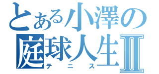 とある小澤の庭球人生Ⅱ（テニス）