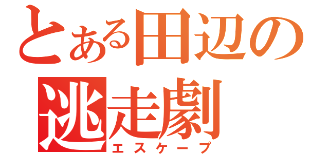 とある田辺の逃走劇（エスケープ）