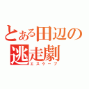 とある田辺の逃走劇（エスケープ）