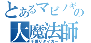 とあるマビノギの大魔法師（手乗りタイガー）