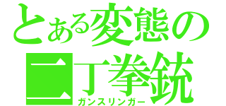 とある変態の二丁拳銃（ガンスリンガー）