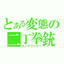 とある変態の二丁拳銃（ガンスリンガー）