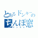 とあるドンキーのちんぽ窓（ドンちん）