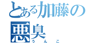 とある加藤の悪臭（うんこ）