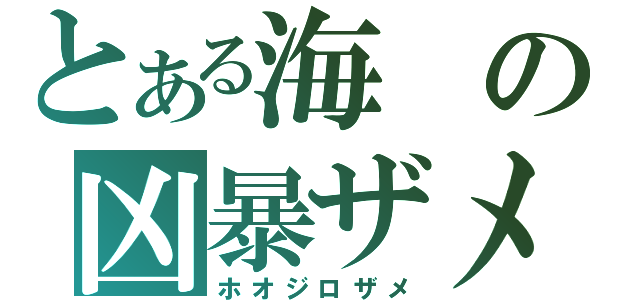 とある海の凶暴ザメ（ホオジロザメ）