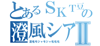 とあるＳＫＴ豆腐屋の澄風シアⅡ（足毛モジャモジャ毛毛毛）