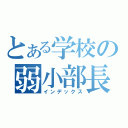 とある学校の弱小部長（インデックス）