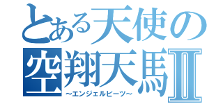 とある天使の空翔天馬Ⅱ（～エンジェルビーツ～）