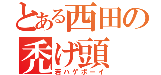 とある西田の禿げ頭（若ハゲボーイ）