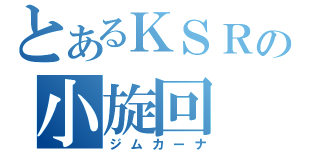 とあるＫＳＲの小旋回（ジムカーナ）