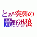 とある突襲の荒野迅狼（スドライカー）