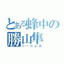 とある蜂中の勝山隼（ハーレム王）