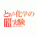 とある化学の闇実験（サイエンスショー）