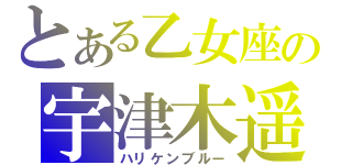 とある乙女座の宇津木遥（ハリケンブルー）