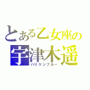 とある乙女座の宇津木遥（ハリケンブルー）