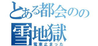 とある都会のの雪地獄（電車止まった）