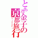 とある金子の京都旅行（ソープツアー）