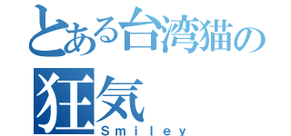 とある台湾猫の狂気（Ｓｍｉｌｅｙ）