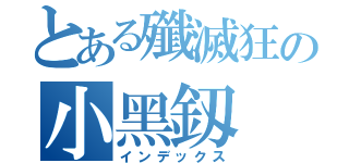 とある殲滅狂の小黑釼（インデックス）