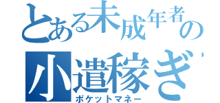 とある未成年者のの小遣稼ぎ（ポケットマネー）