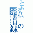 とある私の禁書目録（インデックス）