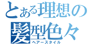 とある理想の髪型色々（ヘアースタイル）