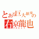 とある巨大歓楽街の右京龍也（クロヒョウ）