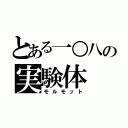 とある一○八の実験体（モルモット）