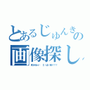 とあるじゅんきのの画像探し（見つからなーい   Σ（・Д・）否ッ！！！！）