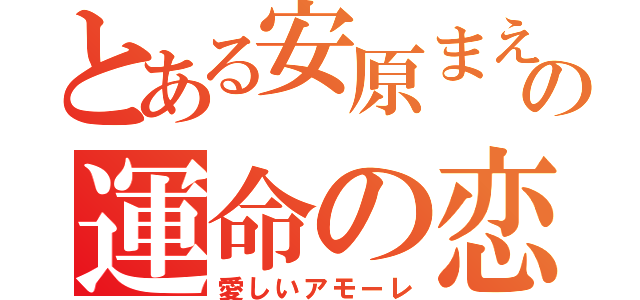 とある安原まえと前田の運命の恋（愛しいアモーレ）