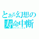 とある幻想の寿命中断（クリティカル）