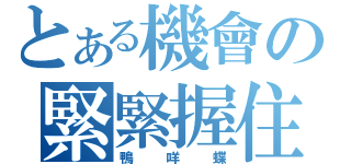 とある機會の緊緊握住（鴨咩蝶）