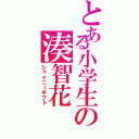 とある小学生の湊智花Ⅱ（シャイニーギフト）