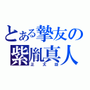 とある摯友の紫胤真人（正太控）