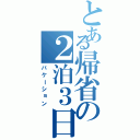 とある帰省の２泊３日（バケーション）