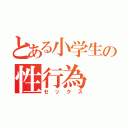 とある小学生の性行為（セックス）